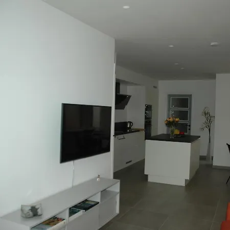 펜션 Vakantiewoning Duinviooltje-koksijde