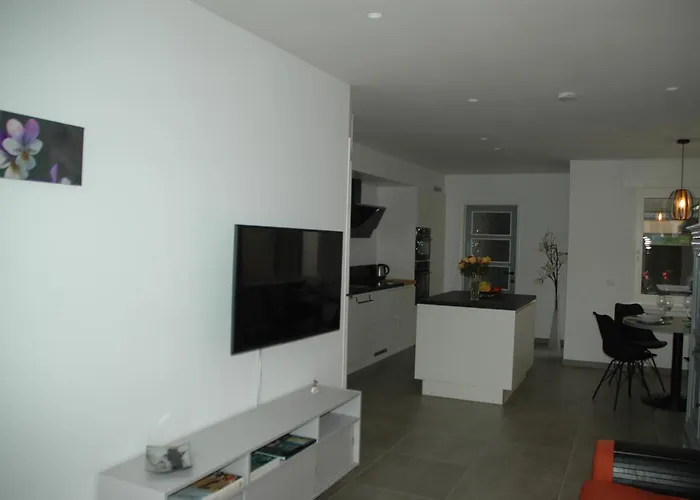 펜션 Vakantiewoning Duinviooltje-koksijde